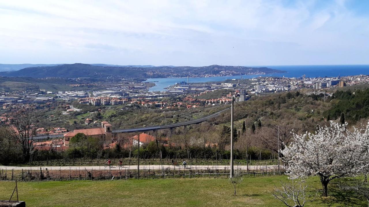 Bellavista Trieste San Dorligo della Valle Extérieur photo